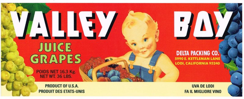 Valley Boy Juice Grapes Crate Label 