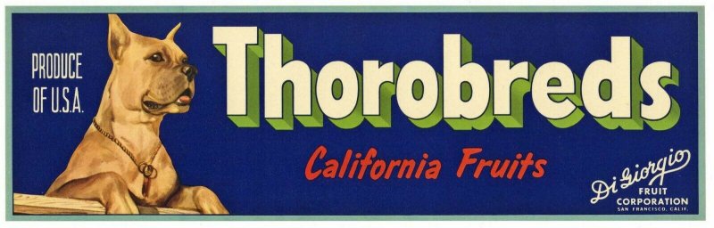 Thorobreds California Fruits Crate Label