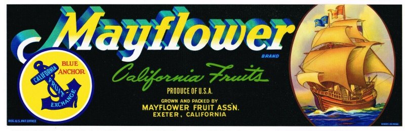 Mayflower California Fruit Grape Crate Label