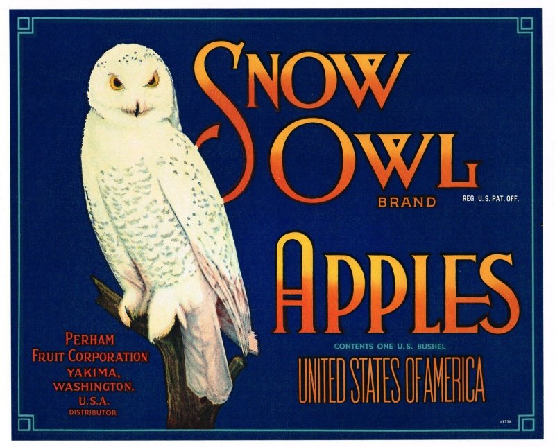Snow Owl Brand Washington Apples Crate Label