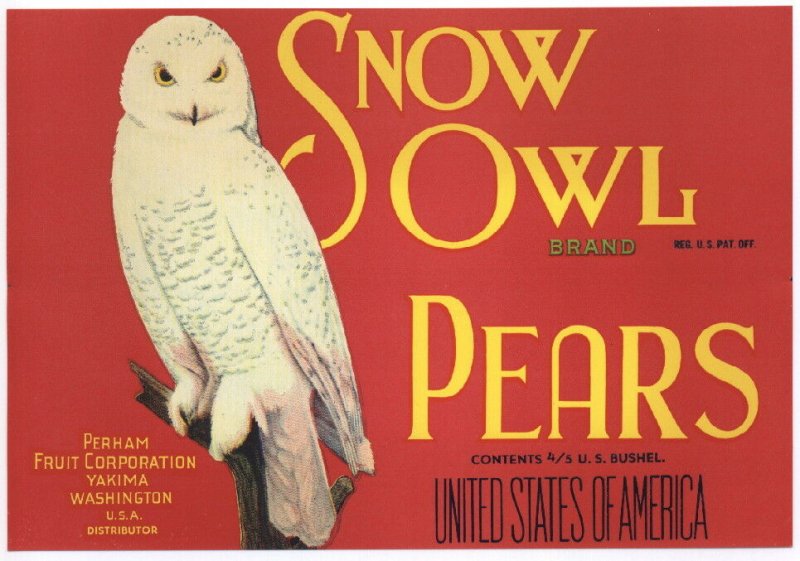 Snow Owl Brand Washington Pears Crate Label