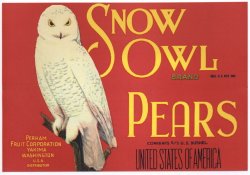 Snow Owl Brand Washington Pears Crate Label
