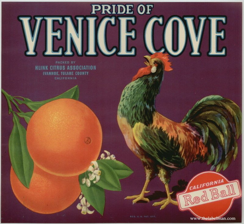 Venice Cove Brand California Oranges Crate Label