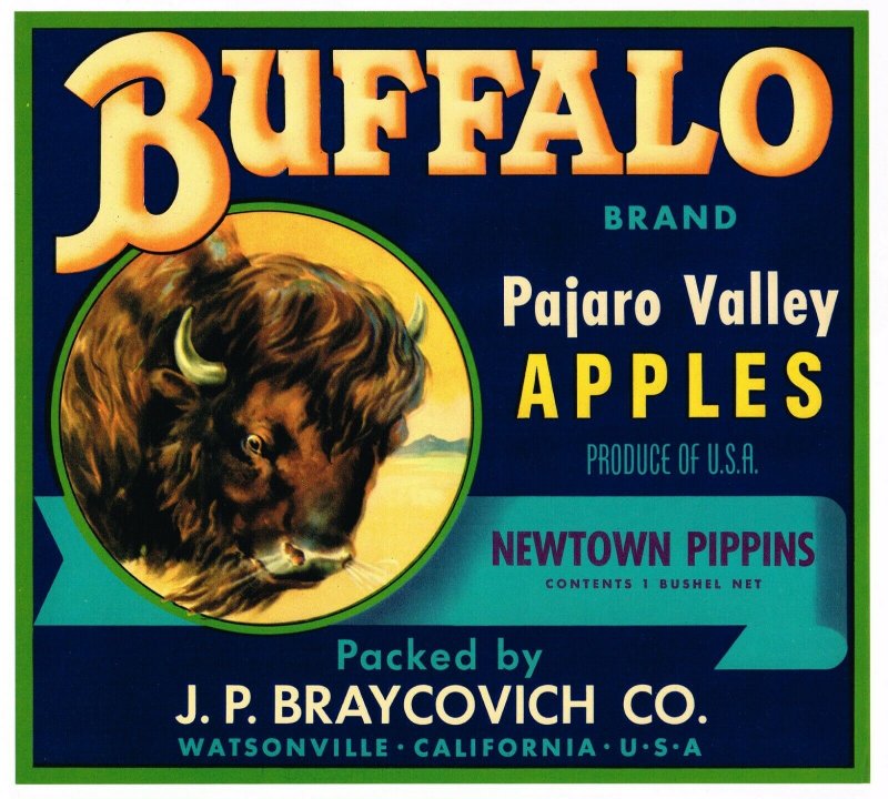 Buffalo Brand California Apples Crate Label