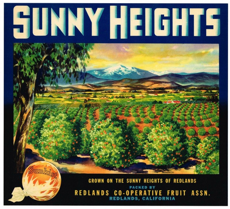 Sunny Heights Brand California Sunkist Oranges Crate Label