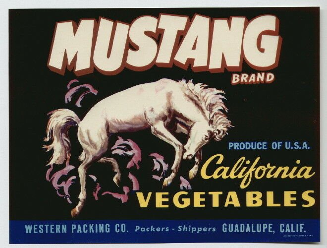 Mustang Brand California Vegetable Crate Label, 5.25x7 inches