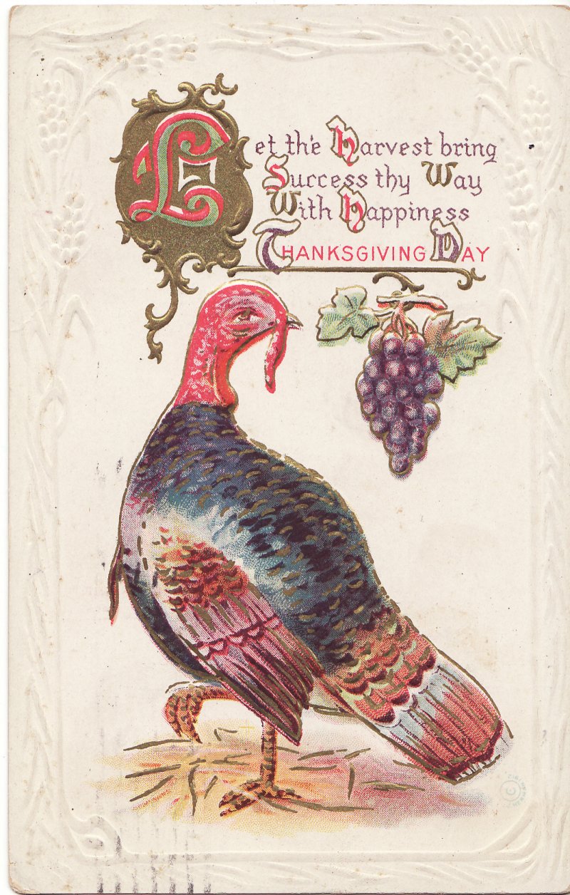 Thanksgiving Postcard, Embossed, 1914 Kingston, New York Postmark