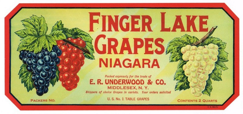 Finger Lake Grapes, New York State Niagara Grapes Crate Label