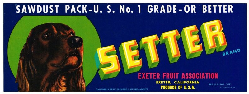 Setter Brand California Grape Crate Label