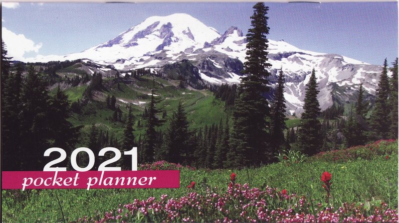 PG120-1 2021 ALA Pocket Planner, FY21-FU1S-PP