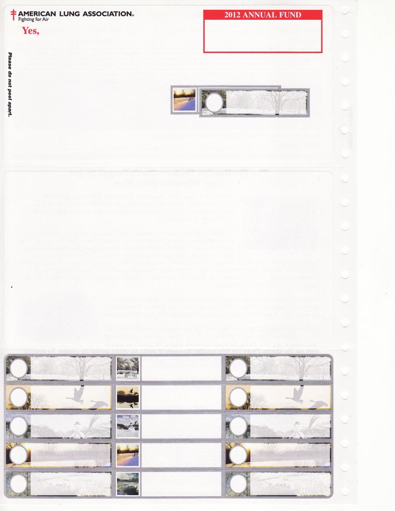 111-T6xB, 2011 U.S. Test Design Christmas Seals & Address Labels, with Errors