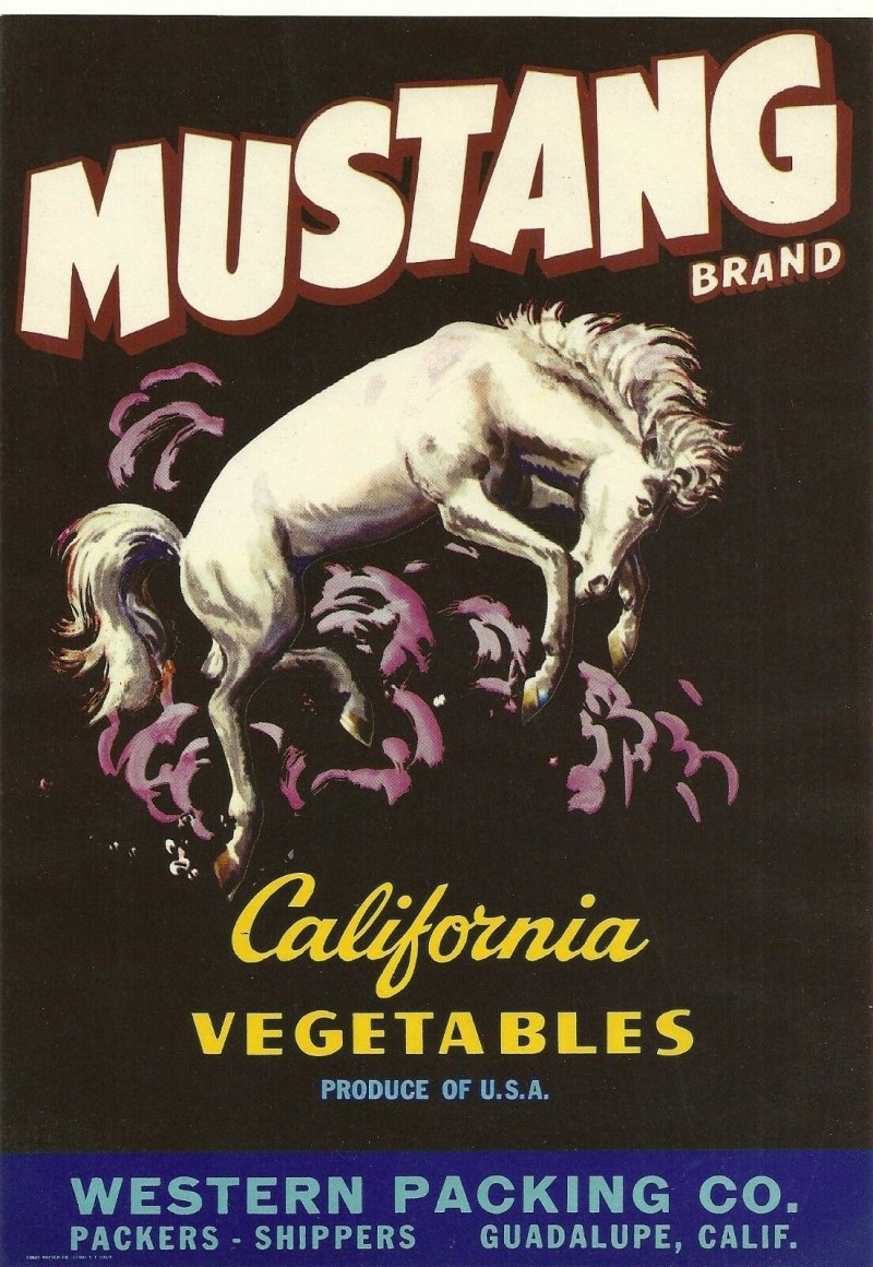 Mustang Brand California Vegetable Crate Label, 7x9 inches