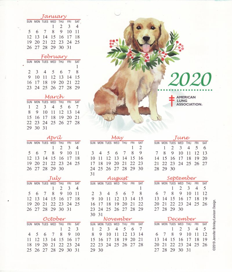 CL119-T1, ALA 2020 U.S. Christmas Seals Themed Calendar, FY20Cal-08