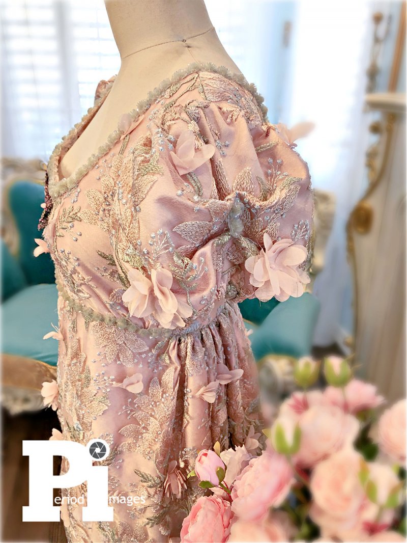 Image 1 of Lady Stella Regency Gown