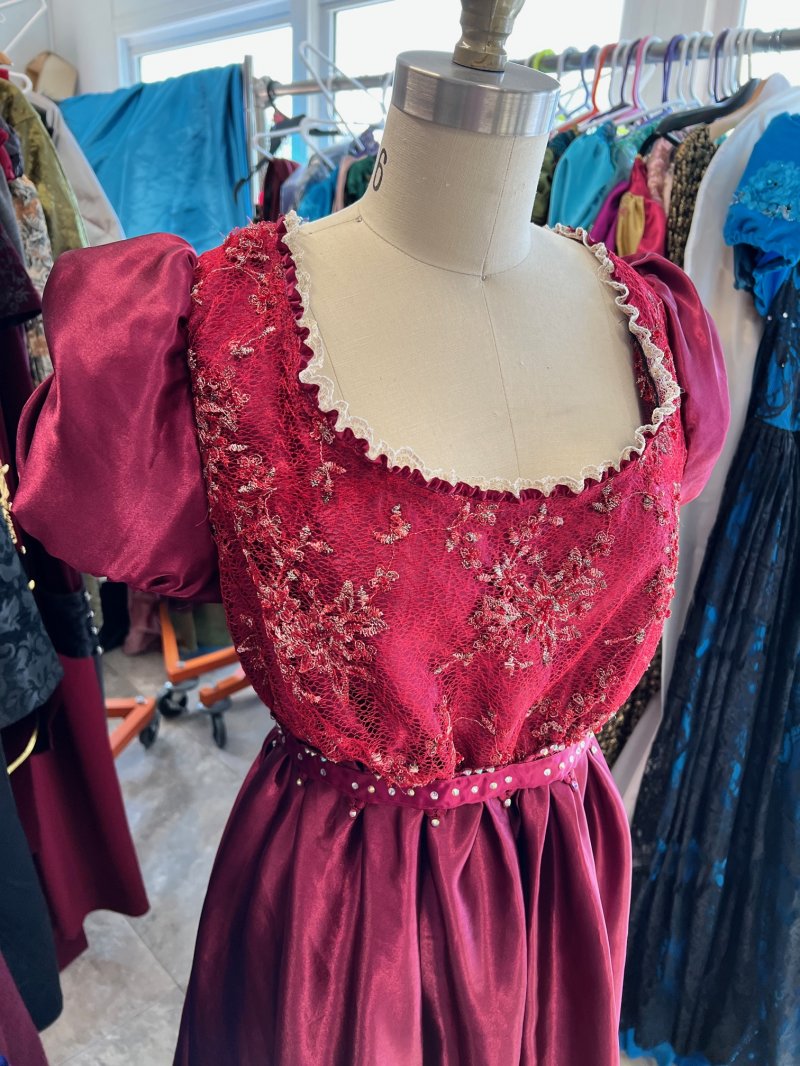 Image 2 of Lady Gianna Regency Gown (Reserved for Linda Meeks)