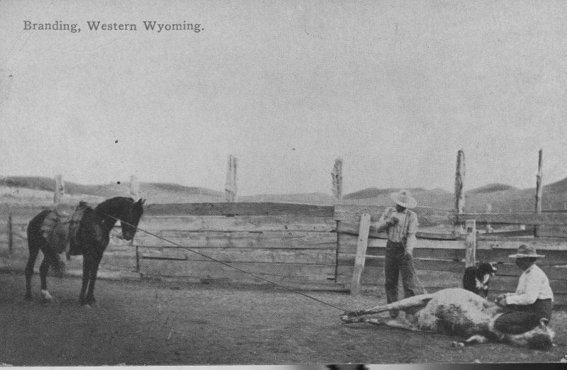 Western  Wyoming , Branding