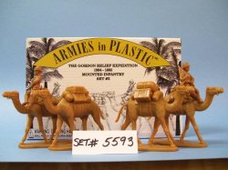 '.AIP British Pack Camels.'