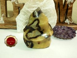 Septarian Flame, Carved Septarian Fossil, Carved Flame Sculpture