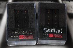 Seymour Duncan Pegasus Trembucker & Sentient 6 String Guitar Pickup Set BLACK