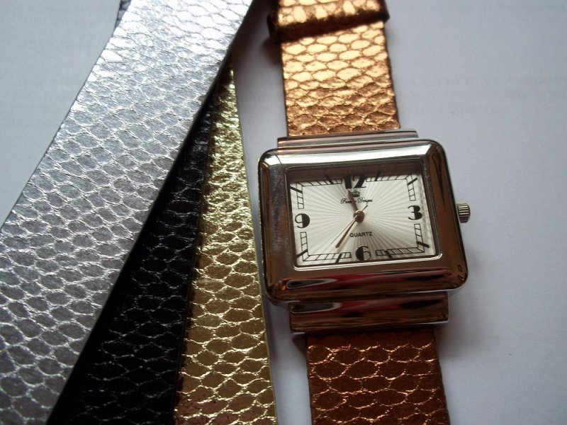 FASHIONISTA Retired Premier Designs Watch