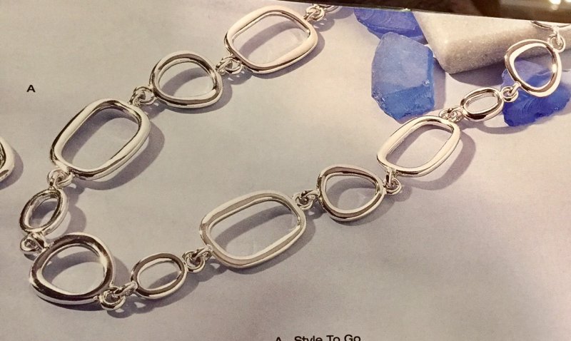 Style To Go Retired lia sophia necklace